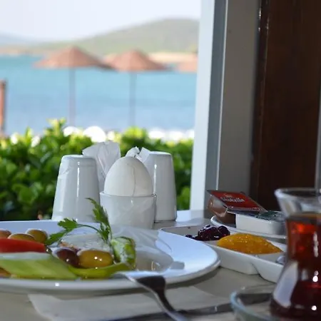 Ezer Ayvalı