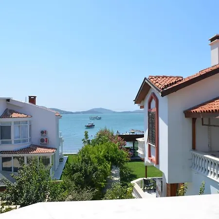 Ezer Ayvalı