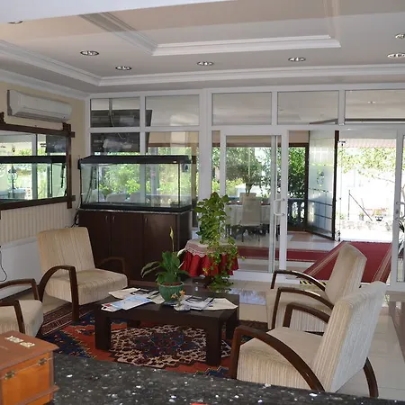 Ezer 2* Ayvalı