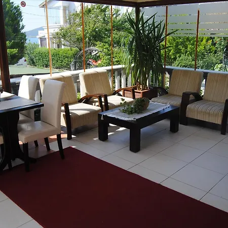 Ezer 2* Ayvalı